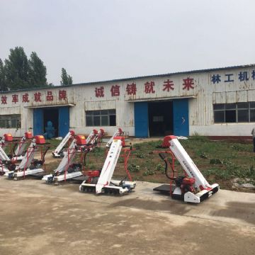 点击查看详细信息<br>标题：装袋机 阅读次数：2267